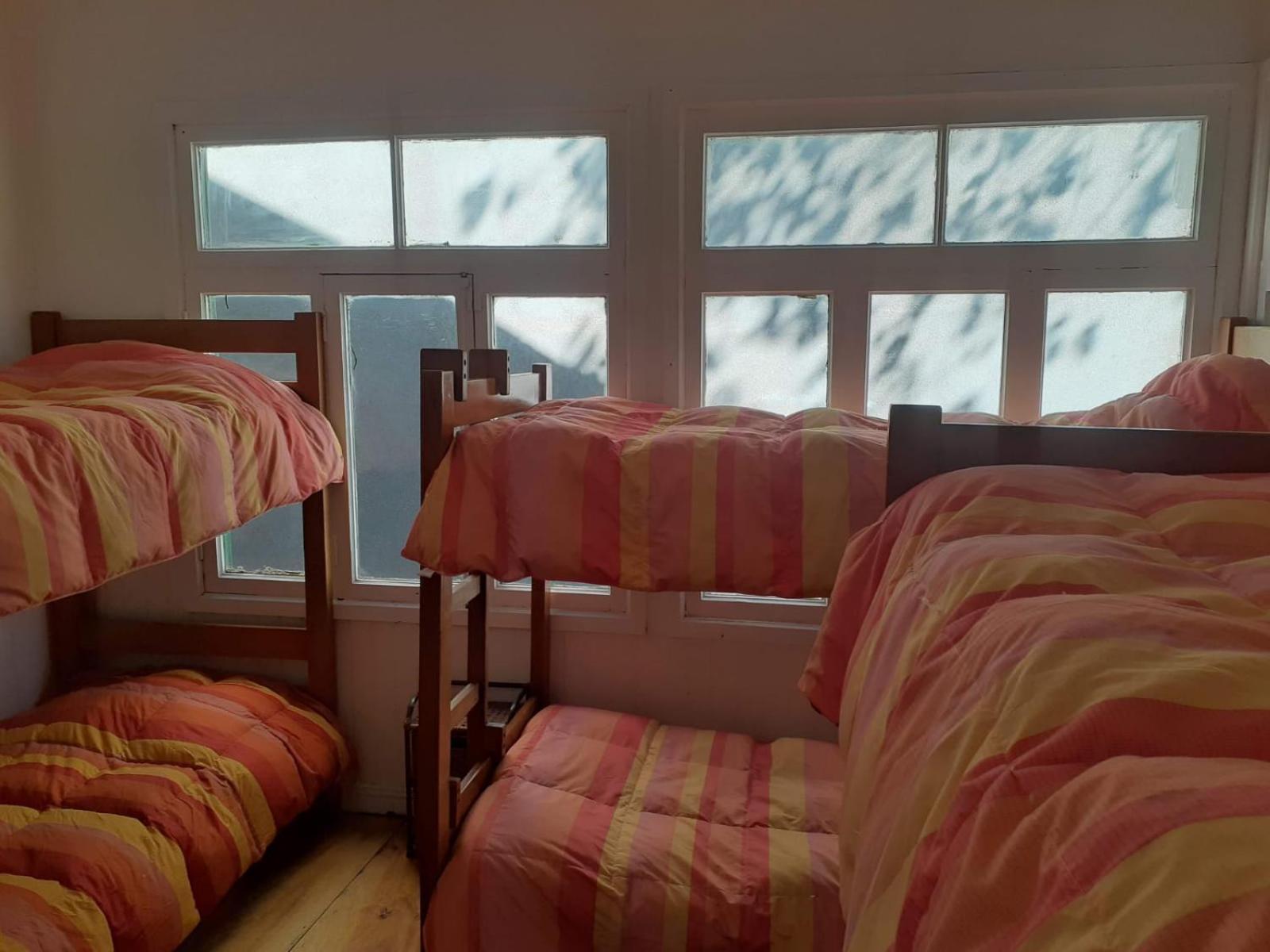 Backpackersparadise Hostel プンタアレナス エクステリア 写真